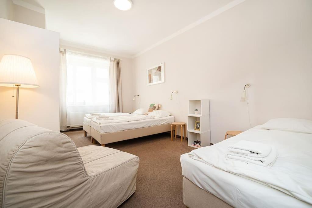 Sleeps 6 flat by tram Zizkov